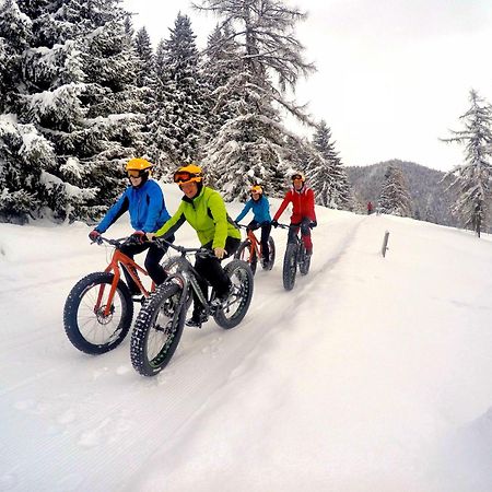 Bio-Holzhaus Und Landhaus Heimat Apartment Ramsau am Dachstein Luaran gambar