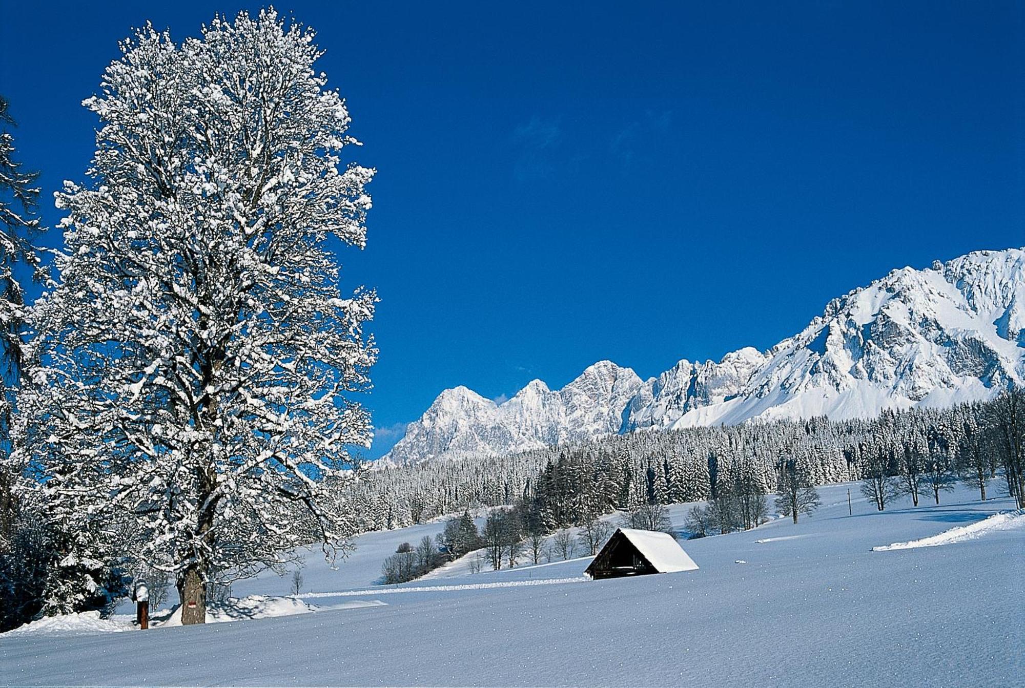 Bio-Holzhaus Und Landhaus Heimat Apartment Ramsau am Dachstein Luaran gambar