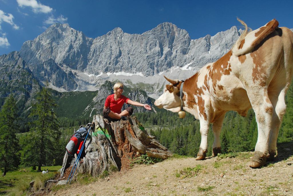 Bio-Holzhaus Und Landhaus Heimat Apartment Ramsau am Dachstein Luaran gambar