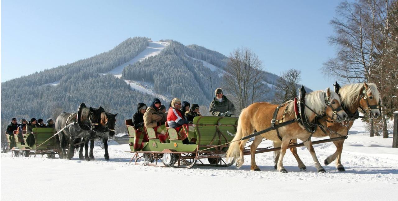 Bio-Holzhaus Und Landhaus Heimat Apartment Ramsau am Dachstein Luaran gambar